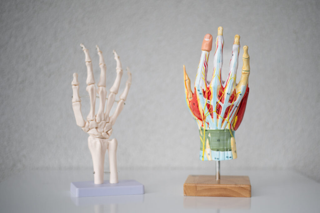 Ergotherapie Leonding - Daniela Krammer