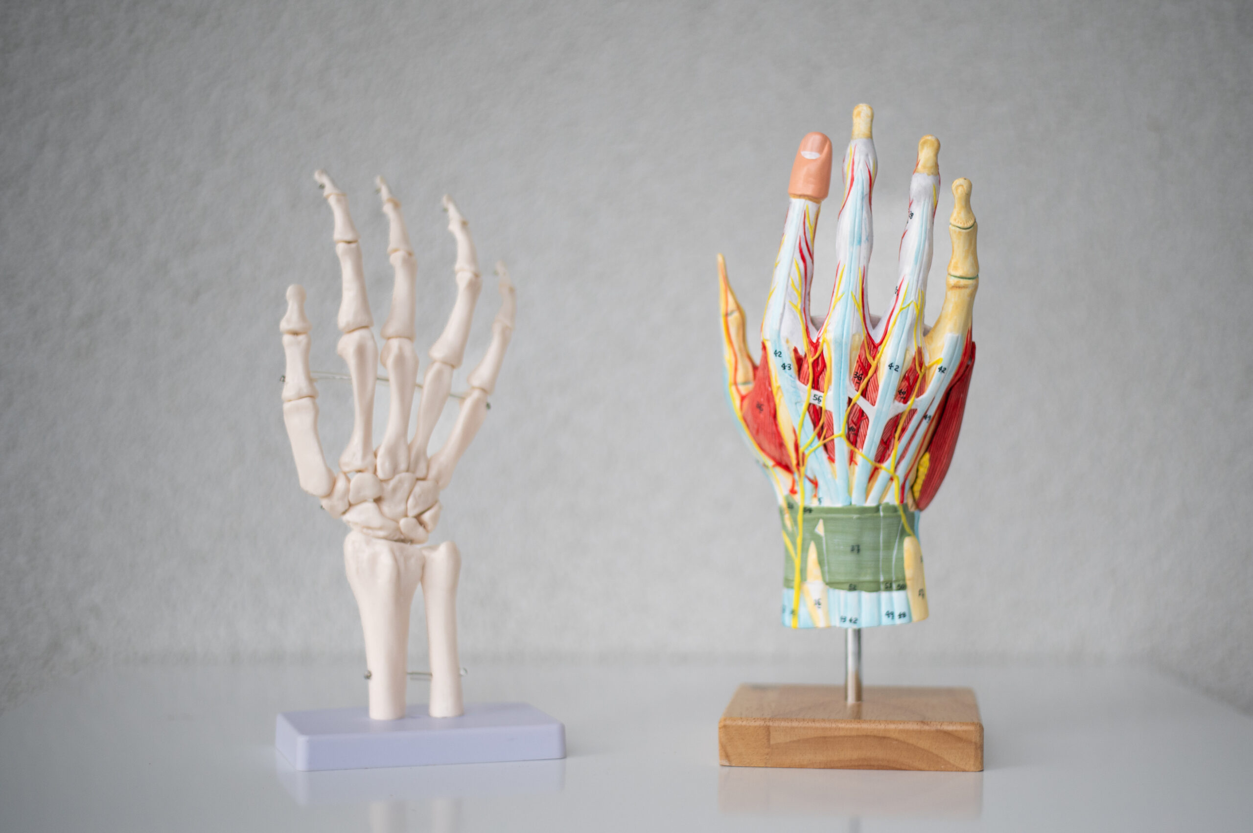 Ergotherapie Leonding - Daniela Krammer